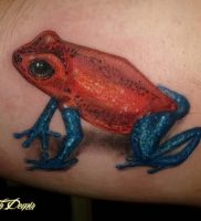 фото тату лягушка от 08.01.2018 №112 — tattoo frog — tattoo-photo.ru