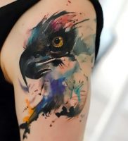 фото тату ястреб от 27.01.2018 №003 — tattoo hawk — tattoo-photo.ru