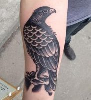 фото тату ястреб от 27.01.2018 №007 — tattoo hawk — tattoo-photo.ru