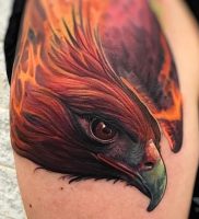 фото тату ястреб от 27.01.2018 №011 — tattoo hawk — tattoo-photo.ru