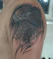 фото тату ястреб от 27.01.2018 №012 — tattoo hawk — tattoo-photo.ru