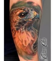 фото тату ястреб от 27.01.2018 №013 — tattoo hawk — tattoo-photo.ru