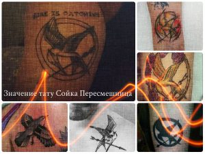 Значение тату Сойка Пересмешница - коллекция фотографий готовых рисунков татуировки на теле
