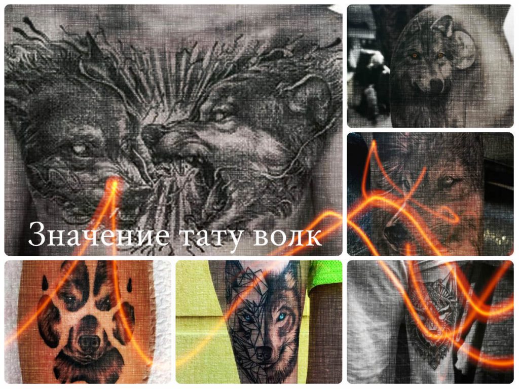 Значение тату волк - коллекция фото готовых рисунков татуировки