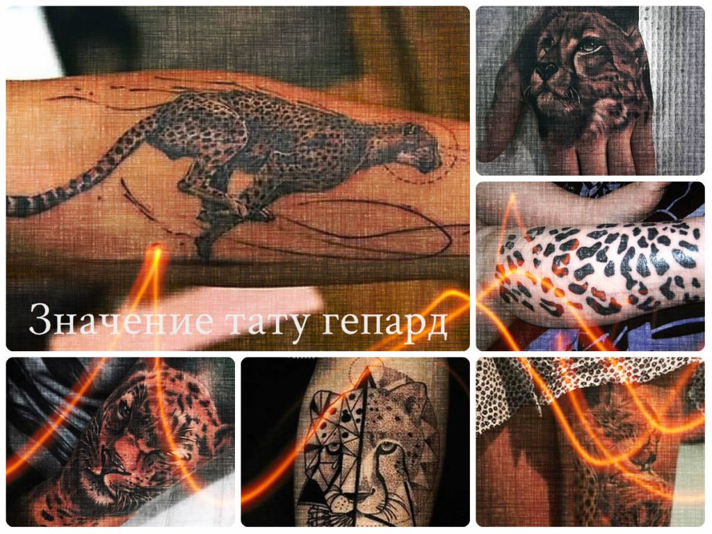 Значение тату гепард - фото примеры рисунков с готовыми татуировками