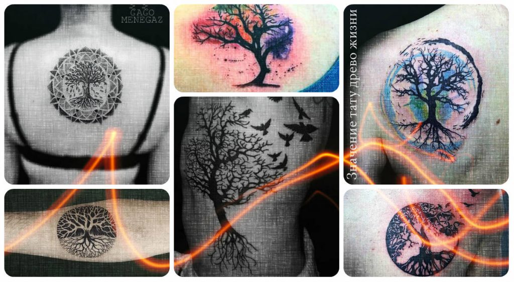 Значение тату древо жизни - коллекция фотографий интересных рисунков татуировок на теле