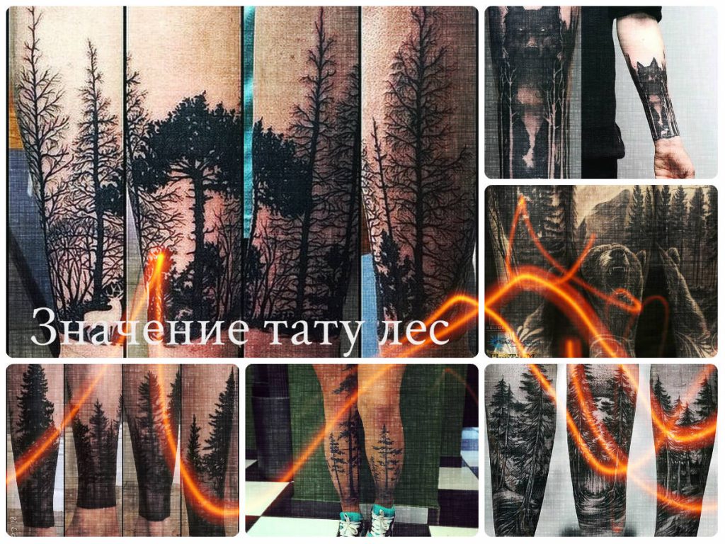 Значение тату лес - коллекция фотографий с примерами рисунков готовых татуировок