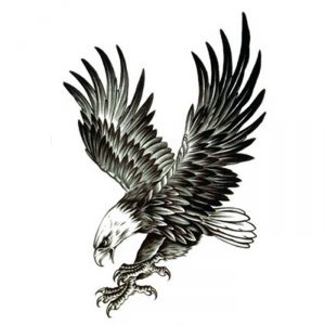 фото тату Орел от 10.03.2018 №004 - tattoo eagle - tattoo-photo.ru