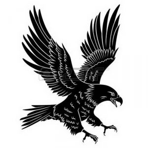 фото тату Орел от 10.03.2018 №016 - tattoo eagle - tattoo-photo.ru