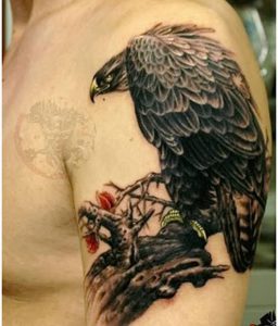 фото тату Орел от 10.03.2018 №021 - tattoo eagle - tattoo-photo.ru