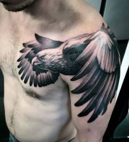 фото тату Орел от 10.03.2018 №115 — tattoo eagle — tattoo-photo.ru