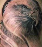фото тату Орел от 10.03.2018 №123 — tattoo eagle — tattoo-photo.ru