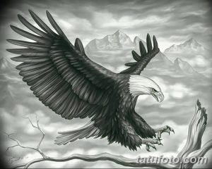 фото тату Орел от 10.03.2018 №135 - tattoo eagle - tattoo-photo.ru