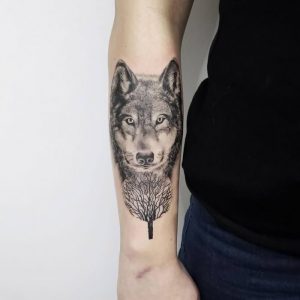 фото тату волк от 12.03.2018 №001 - tattoo wolf - tattoo-photo.ru