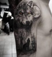 фото тату волк от 12.03.2018 №003 — tattoo wolf — tattoo-photo.ru