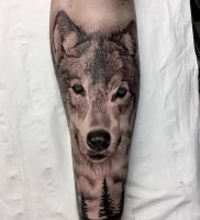 фото тату волк от 12.03.2018 №011 — tattoo wolf — tattoo-photo.ru