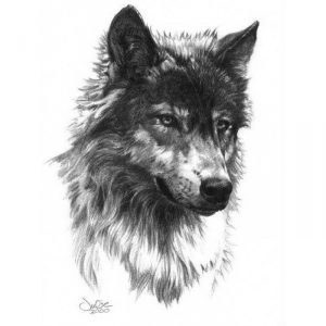 фото тату волк от 12.03.2018 №041 - tattoo wolf - tattoo-photo.ru