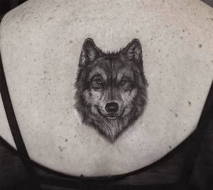 фото тату волк от 12.03.2018 №081 - tattoo wolf - tattoo-photo.ru