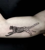 фото тату гепард от 22.01.2018 №002 — tattoo cheetah — tattoo-photo.ru