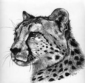 фото тату гепард от 22.01.2018 №011 - tattoo cheetah - tattoo-photo.ru