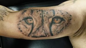 фото тату гепард от 22.01.2018 №033 - tattoo cheetah - tattoo-photo.ru