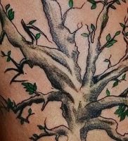 фото тату древо жизни от 09.01.2018 №110 — tattoo tree of life — tattoo-photo.ru