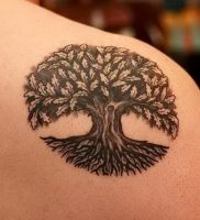фото тату древо жизни от 09.01.2018 №112 — tattoo tree of life — tattoo-photo.ru