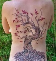 фото тату древо жизни от 09.01.2018 №126 — tattoo tree of life — tattoo-photo.ru