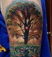 фото тату древо жизни от 09.01.2018 №129 — tattoo tree of life — tattoo-photo.ru