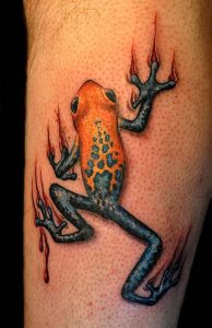 фото тату лягушка от 08.01.2018 №006 - tattoo frog - tattoo-photo.ru