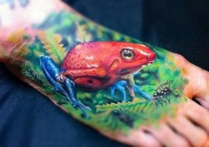 фото тату лягушка от 08.01.2018 №029 - tattoo frog - tattoo-photo.ru