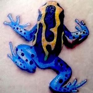 фото тату лягушка от 08.01.2018 №052 - tattoo frog - tattoo-photo.ru