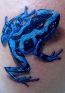 фото тату лягушка от 08.01.2018 №090 - tattoo frog - tattoo-photo.ru