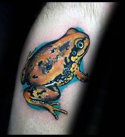 фото тату лягушка от 08.01.2018 №110 — tattoo frog — tattoo-photo.ru