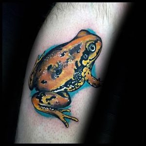 фото тату лягушка от 08.01.2018 №110 - tattoo frog - tattoo-photo.ru