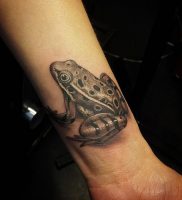 фото тату лягушка от 08.01.2018 №115 — tattoo frog — tattoo-photo.ru
