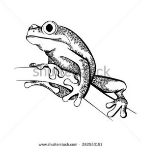 фото тату лягушка от 08.01.2018 №120 - tattoo frog - tattoo-photo.ru