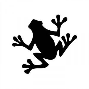 фото тату лягушка от 08.01.2018 №125 - tattoo frog - tattoo-photo.ru