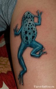 фото тату лягушка от 08.01.2018 №132 - tattoo frog - tattoo-photo.ru