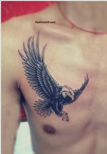 фото тату ястреб от 27.01.2018 №030 - tattoo hawk - tattoo-photo.ru