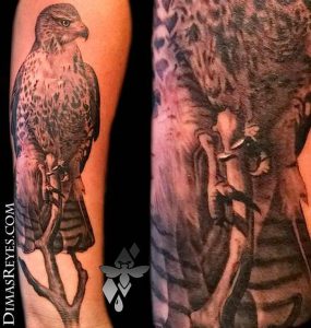 фото тату ястреб от 27.01.2018 №041 - tattoo hawk - tattoo-photo.ru