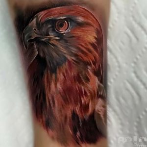 фото тату ястреб от 27.01.2018 №061 - tattoo hawk - tattoo-photo.ru