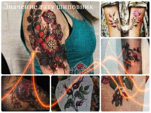 Значение тату шиповник - фото коллекция интересных рисунков татуировки