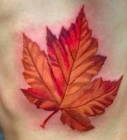 фото тату кленовый лист от 14.04.2018 №097 — maple leaf tattoo — tattoo-photo.ru