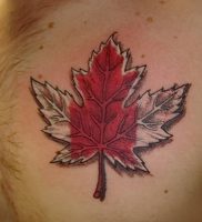 фото тату кленовый лист от 14.04.2018 №100 — maple leaf tattoo — tattoo-photo.ru