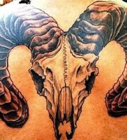 фото тату рога от 08.04.2018 №014 — tattoo horn — tattoo-photo.ru