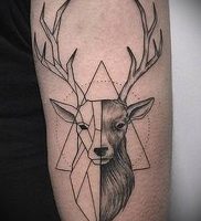 фото тату рога от 08.04.2018 №064 — tattoo horn — tattoo-photo.ru