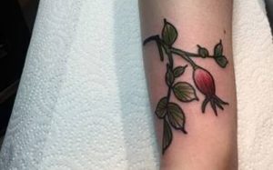 фото тату шиповник от 13.04.2018 №004 - Tattoo rosehip - tattoo-photo.ru