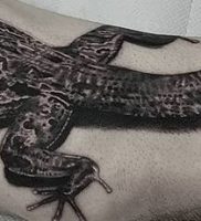 фото тату ящерица от 11.04.2018 №113 — tattoo lizard — tattoo-photo.ru