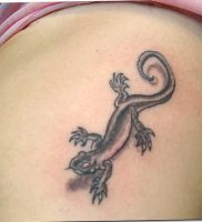 фото тату ящерица от 11.04.2018 №115 — tattoo lizard — tattoo-photo.ru